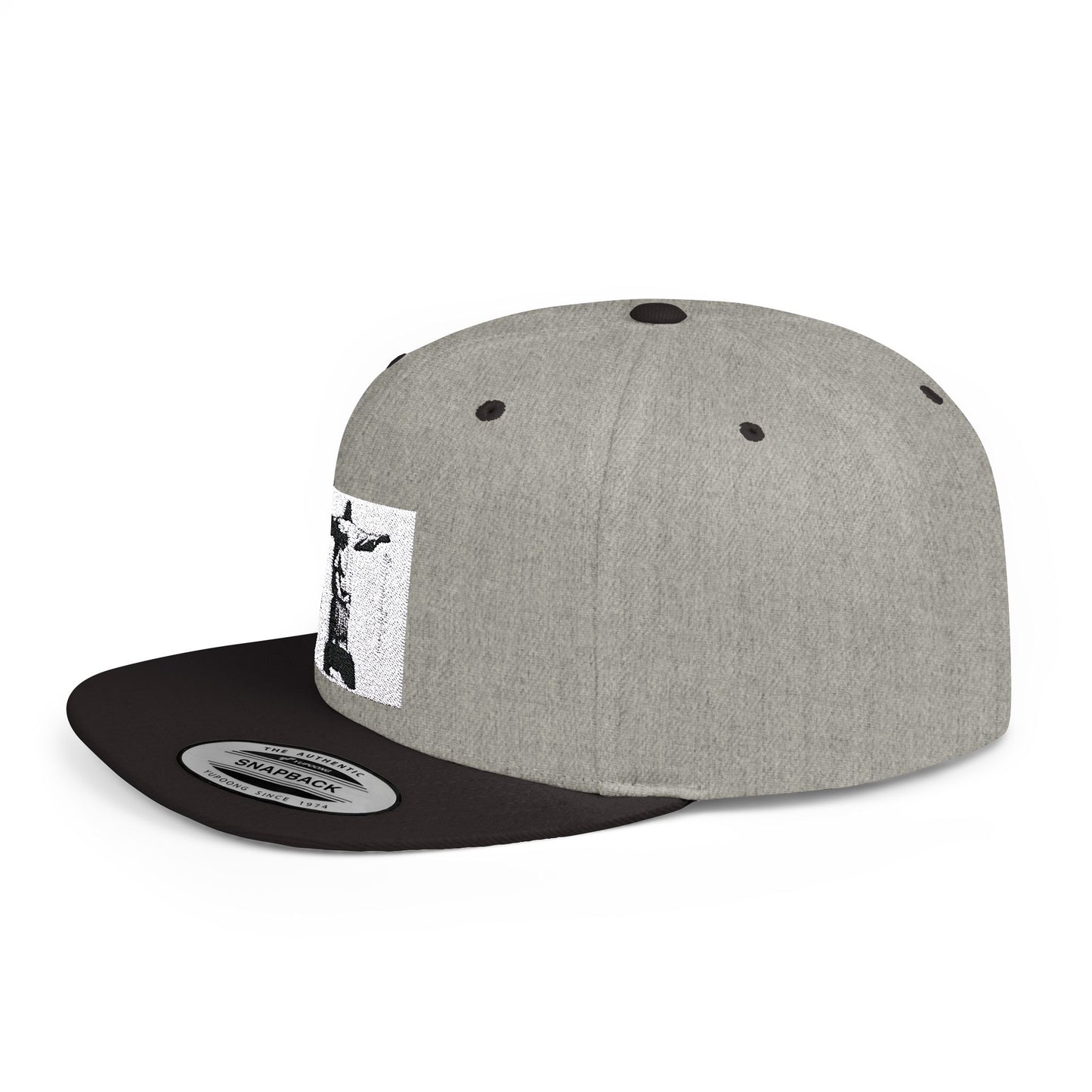 De divinatione Series: Christ Flat Bill Snapback