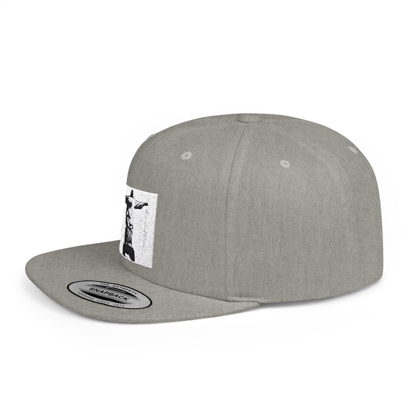 De divinatione Series: Christ Flat Bill Snapback