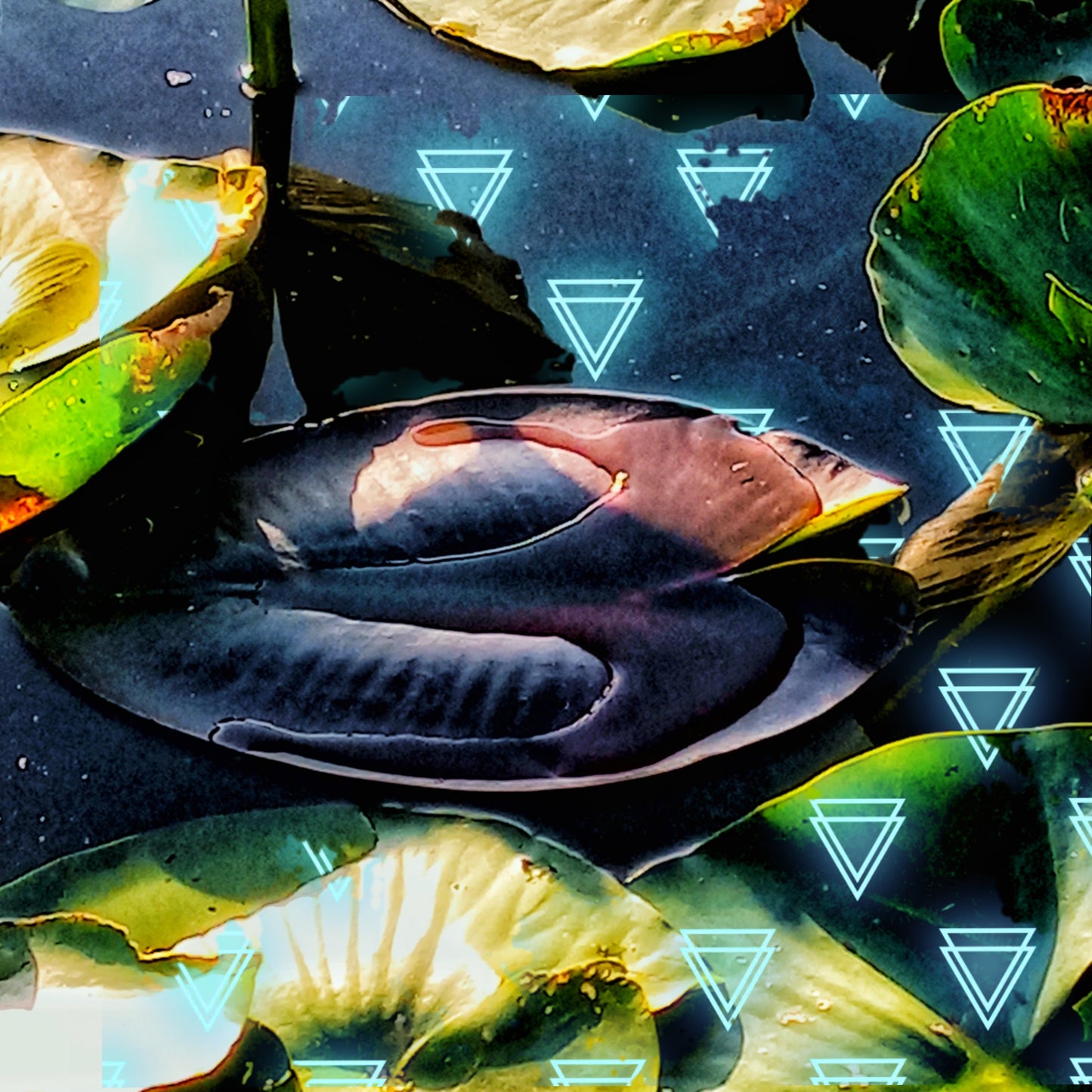 LOTUS 2 SEIRES WALL ART WITH FRAME 11X14