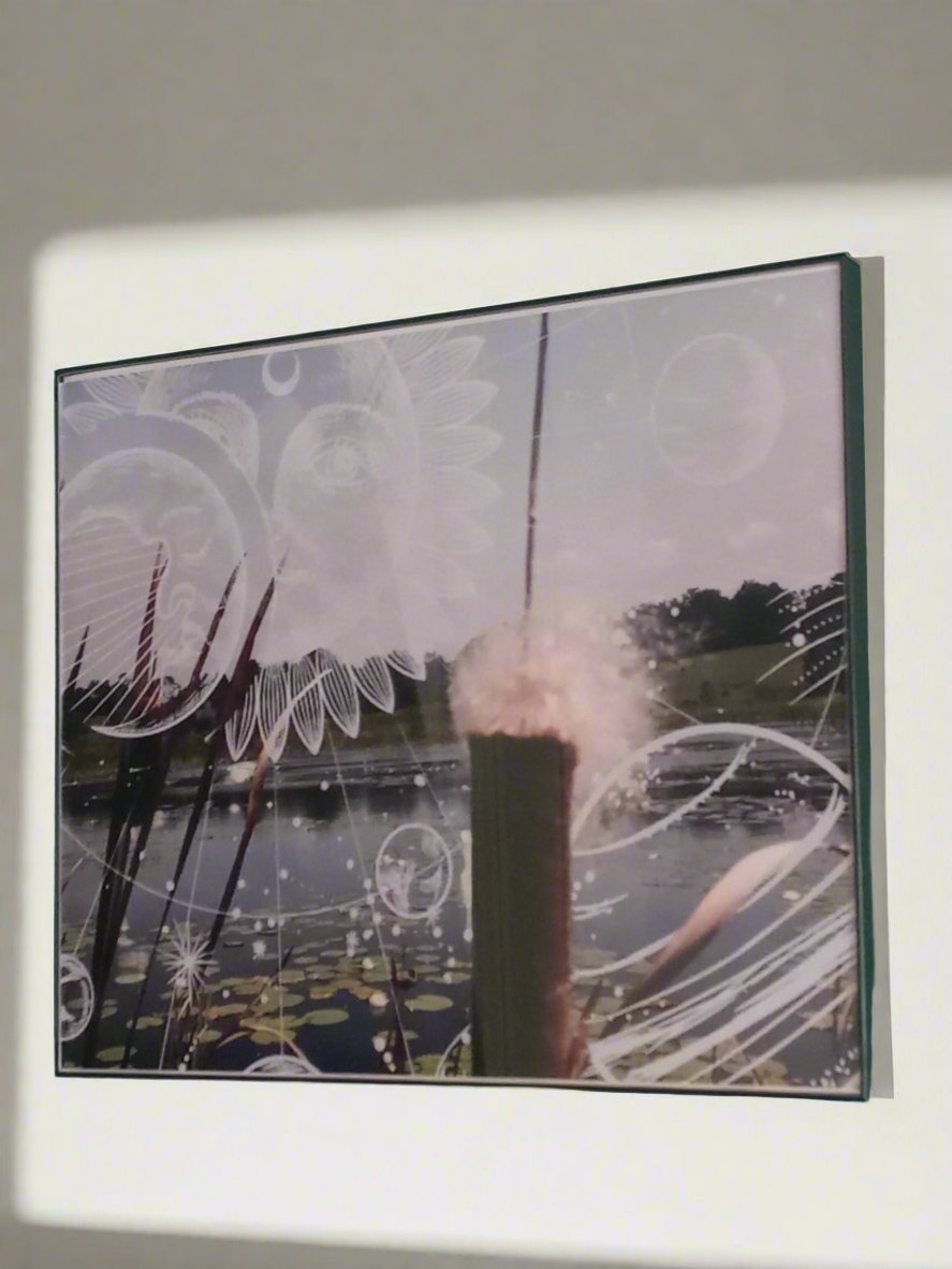 LOTUS 3 SEIRES WALL ART WITH FRAME 11X14