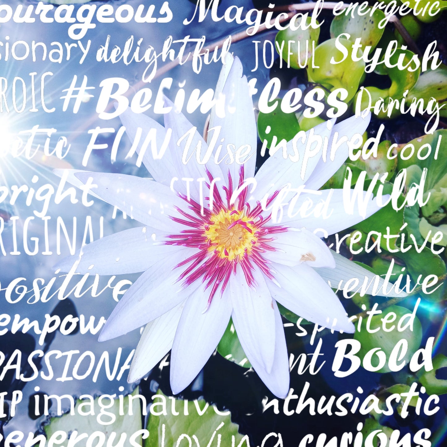 LOTUS 1 SEIRES WALL ART WITH  FRAME 11X14