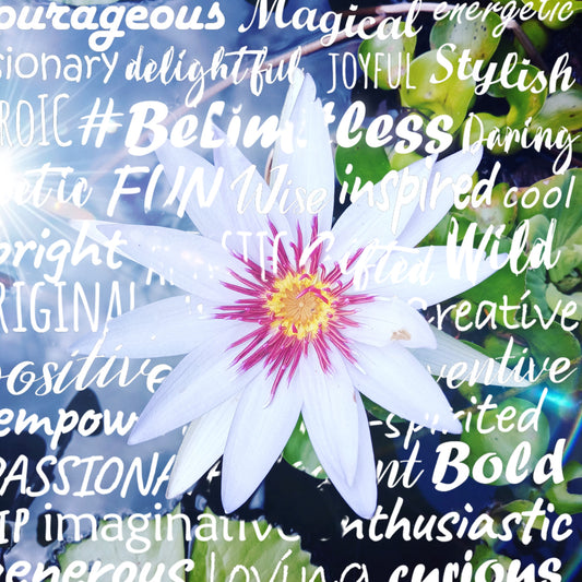 LOTUS 1 SEIRES WALL ART WITH  FRAME 11X14